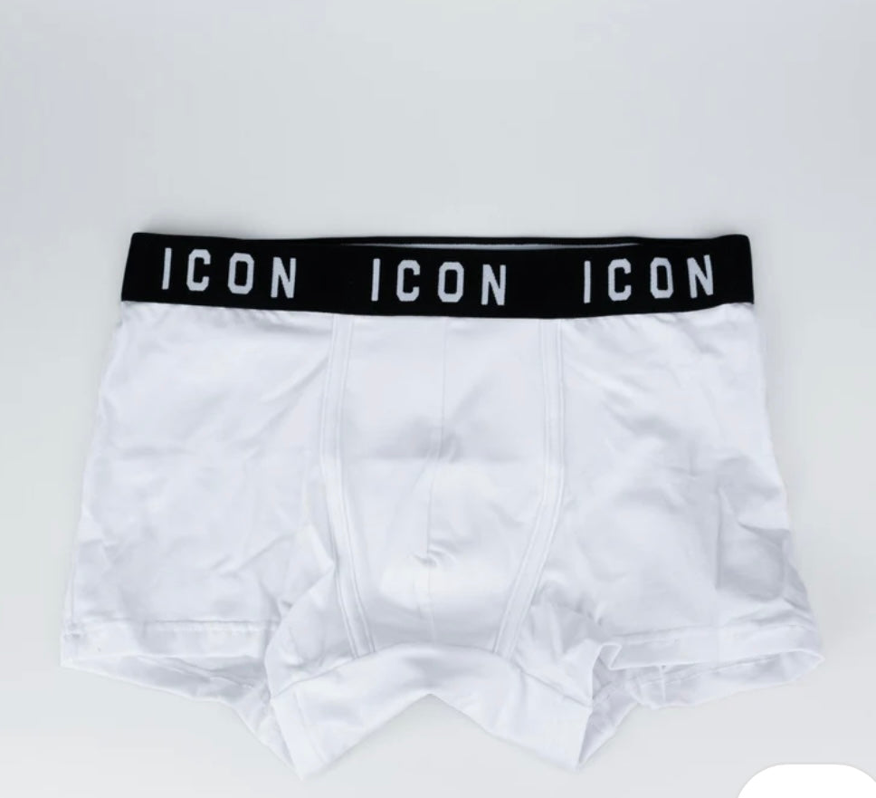Icon boxer