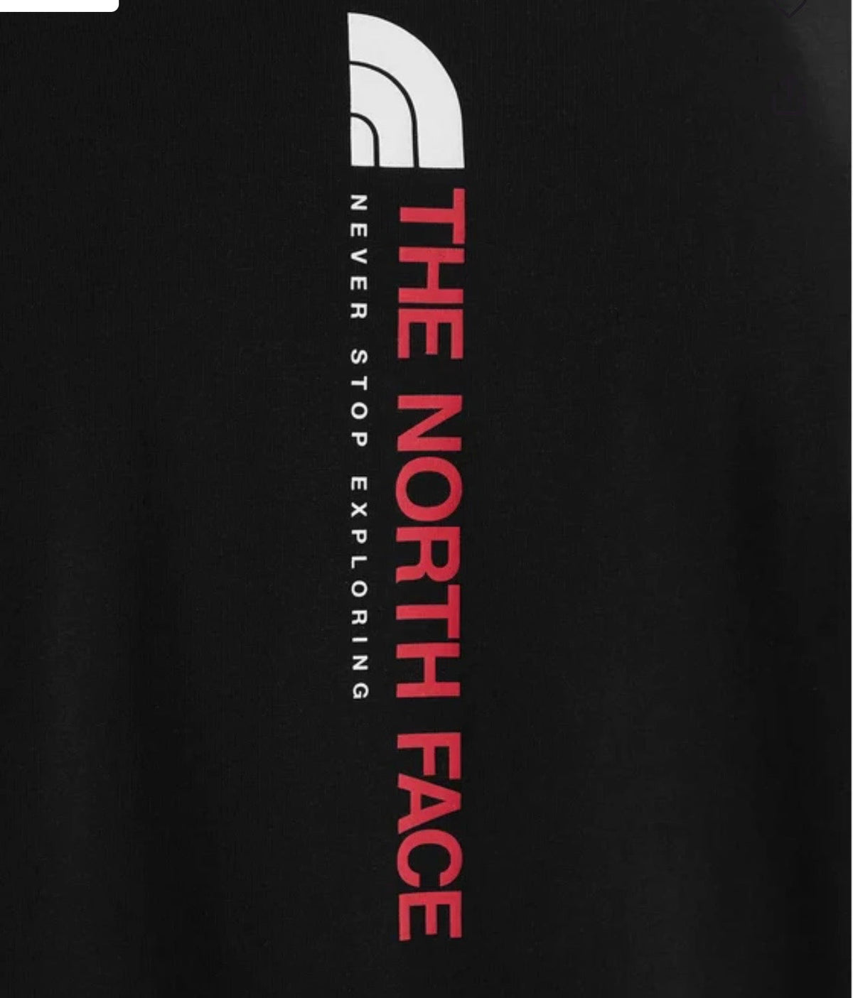 THE NORTH FACE M VERTICAL REGULAR UOMO